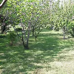 Lucija Apartman Bakar