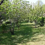 Apartman Lucija *