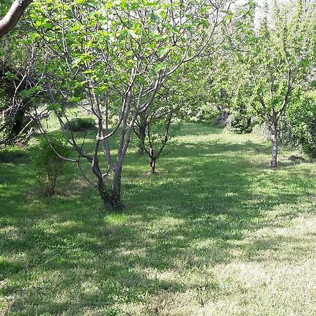 Lucija Apartment Bakar